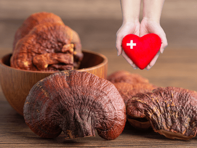 5 Health Benefits of Medicinal Mushrooms You Need To Know About (2023) - 維特健靈官方海外專賣店 Vita Green Official Global Shop