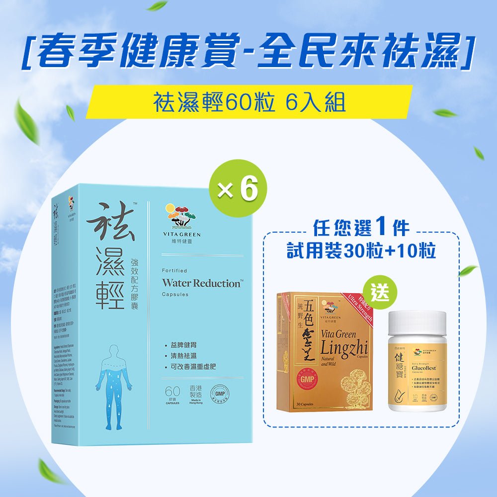 袪濕輕 6入組 - Vita Green 維特健靈 海外網店