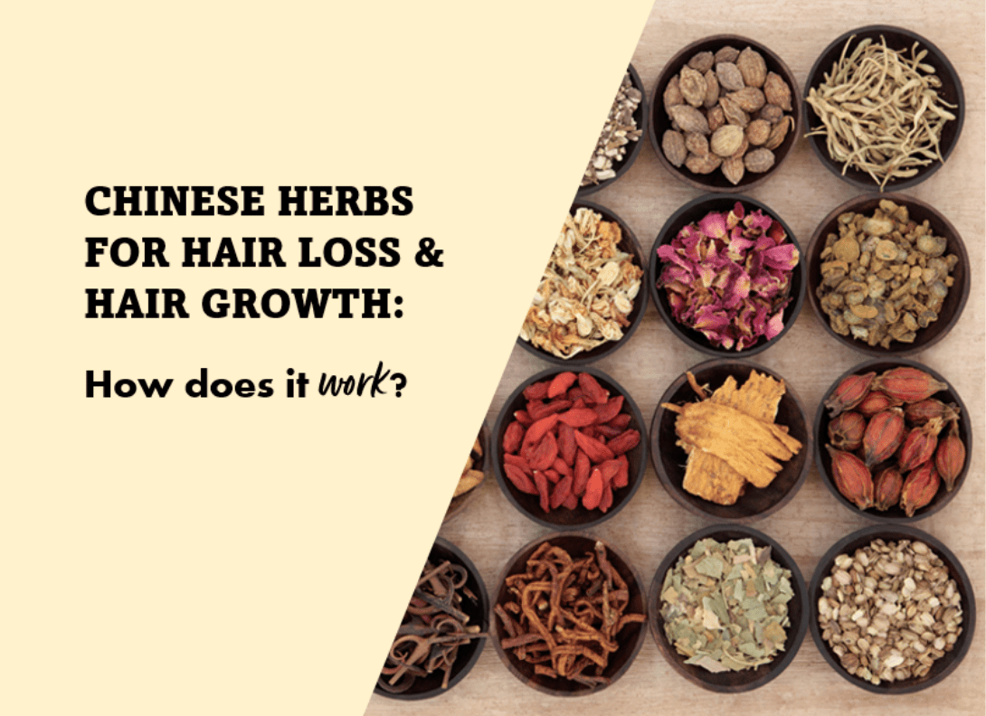 Top 13 Leading Chinese Herbs To Help Your Hair Loss And Hair Growth Problems- Backed Up By Science - Vita Green 維特健靈 海外網店