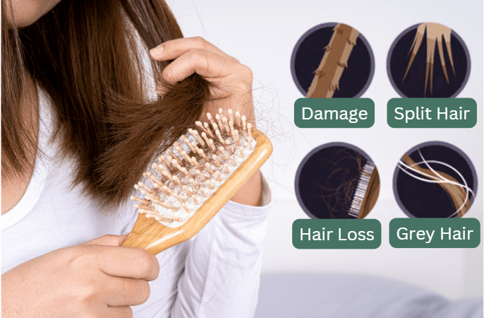 Top 8 Most Common Hair Problems and Their Treatments - Vita Green 維特健靈 海外網店