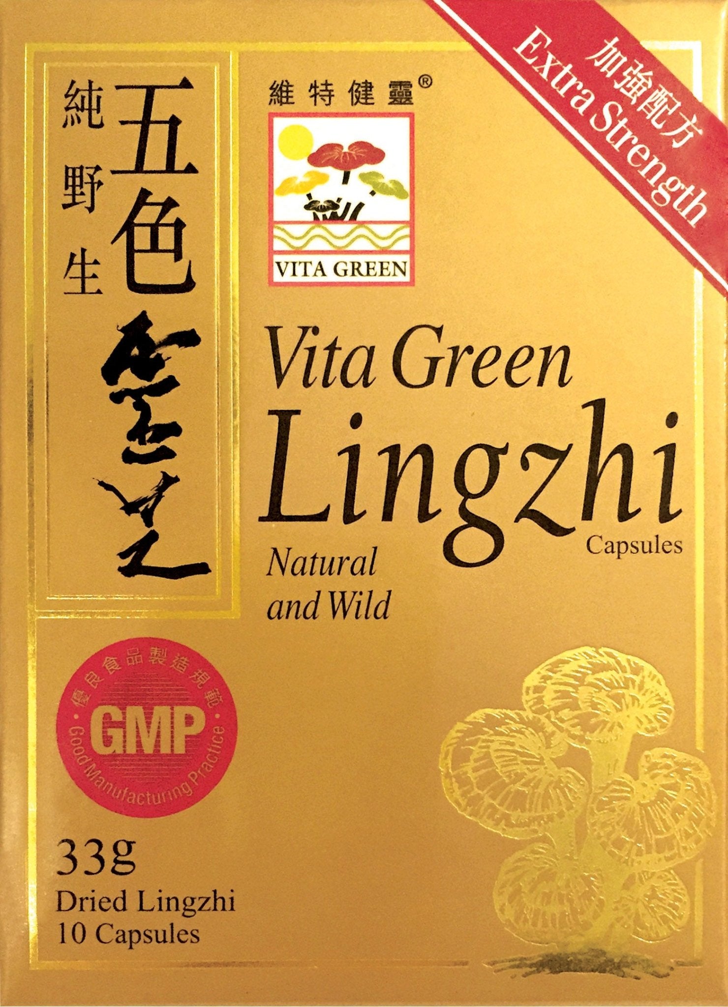 五色靈芝 10粒（4入） - Vita Green 維特健靈 海外網店